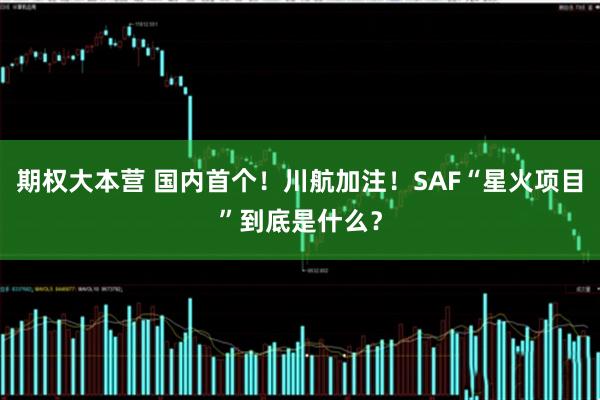 期权大本营 国内首个！川航加注！SAF“星火项目”到底是什么？